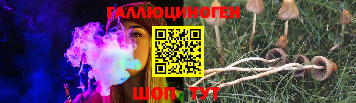 Прохладный  Псилоцибиновые грибы Magic Shrooms  Вход с VPN 