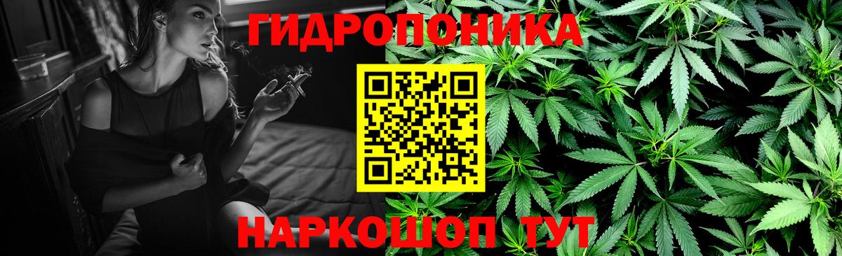МАРИХУАНА семена Прохладный